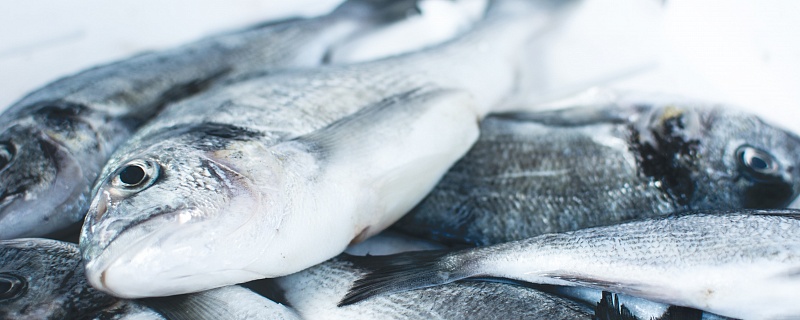 ТР ЕАЭС 040/2016 «О безопасности рыбы и рыбной продукции»